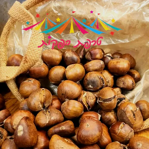 ניחוח של אירופה – טרפת הפקות – תמונה 4