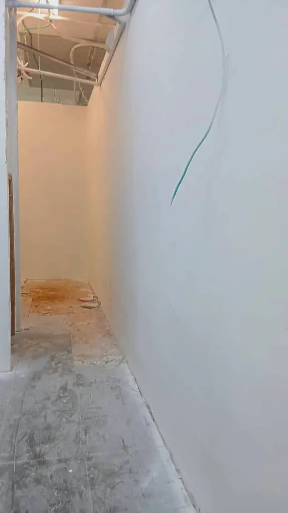 תמונה נוספת